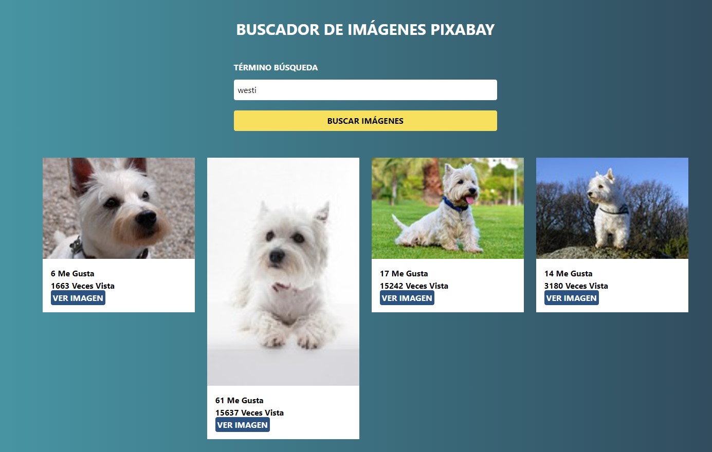 Buscador de Imagenes
